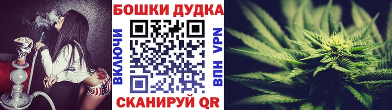 Купить Жуковский Галлюциногенные грибы МЕФ КОКАИН Альфа ПВП