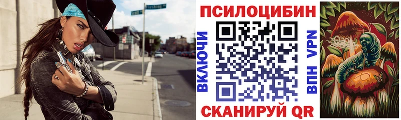 купить   Жуковский  мориарти состав  Псилоцибиновые грибы Magic Shrooms 